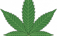 420 Legalize Mariujana